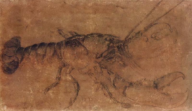 Albrecht Durer A Lobster